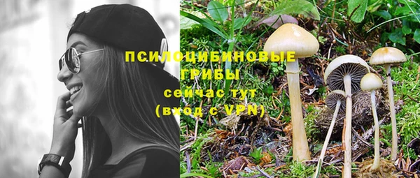 прущий лед Заводоуковск
