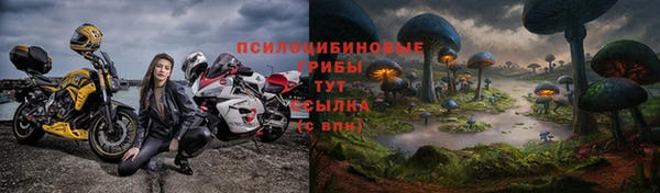прущий лед Заводоуковск