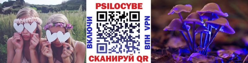 Купить где  Гай  Галлюциногенные грибы Psilocybe 